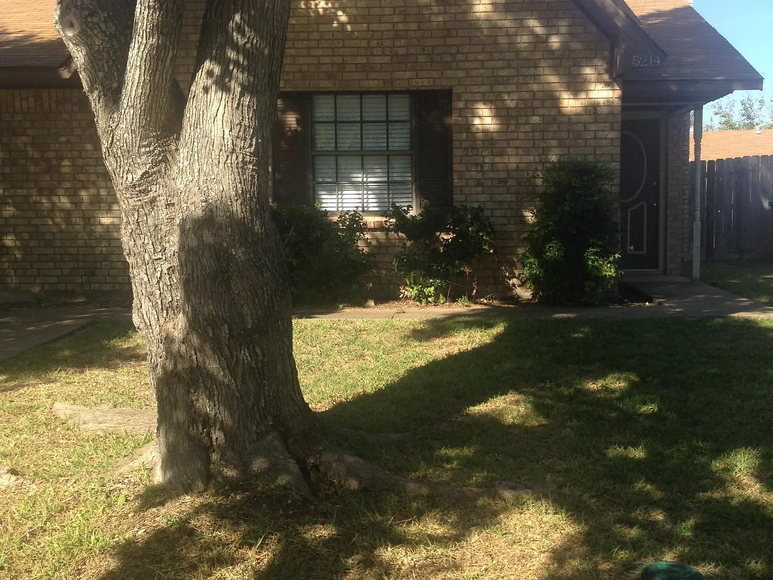2 bed, 928 sqft, $1,200 — Photo 2