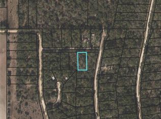 205 NE Camphor Ln, Lee, FL 32059