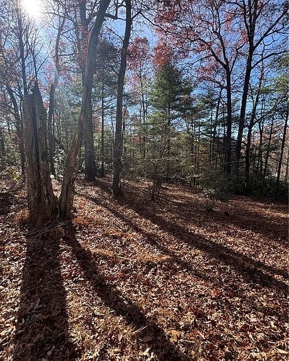 1st image of 324 Morrison Ln