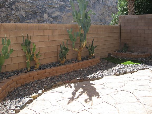 nice backyard with mountain views
