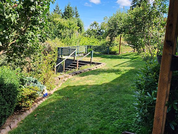 Backyard with fruit trees
