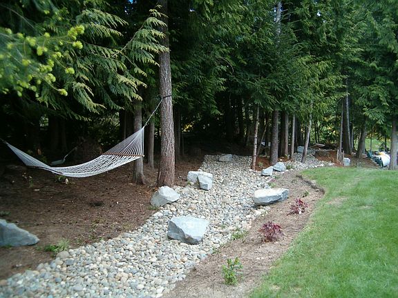 Dry Creek Bed/Woods
