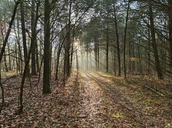 10920 Chicken Hollow Trl, Uniontown, AR 72955