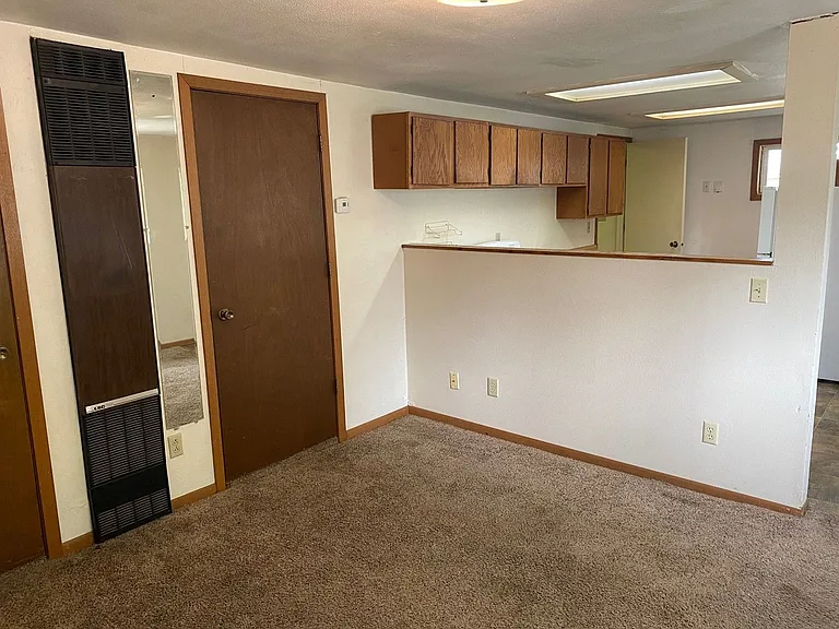 423 N 1st Ave — Photo 3