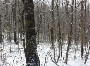 1993 State Highway 17, Clarkesville, GA 30523