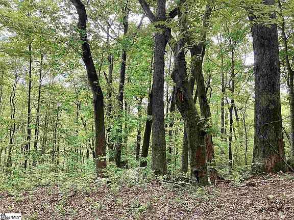 4th image of 1334 Panther Park Trl