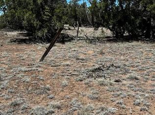 Xx Tomahawk #187, Quemado, NM 87829