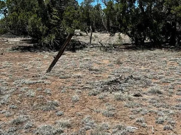 Xx Tomahawk #187, Quemado, NM 87829