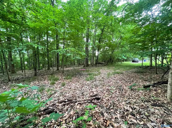 1 George Byrd Dr, Owens Cross Roads, AL 35763