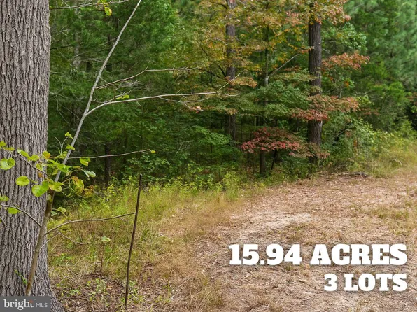 Oreto Ln, Bryans Road, MD 20616