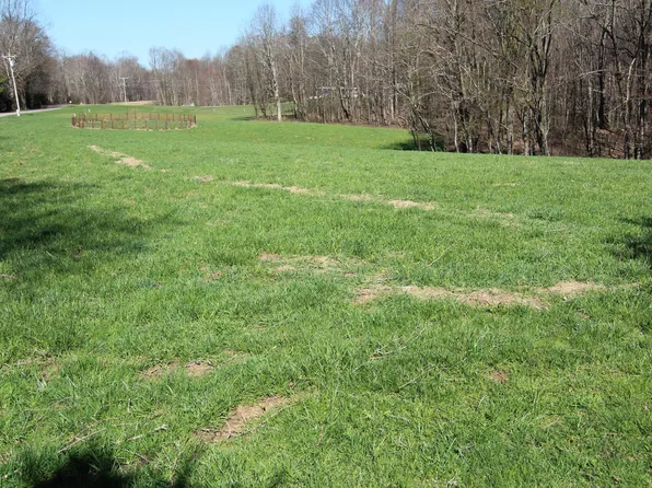 2998 Cross Mountain Rd, Shady Valley, TN 37688