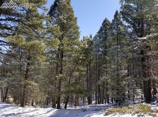 183 Granite Rd, Florissant, CO 80816