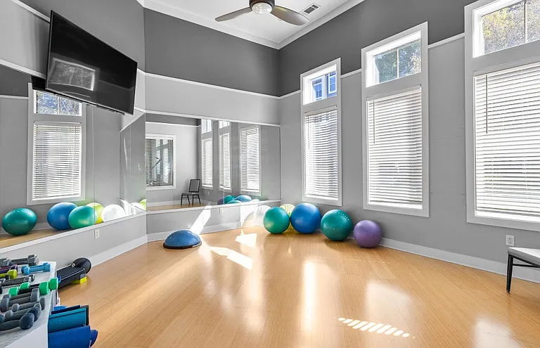 Park at Johns Creek 55+ Active Adult Living — Photo 27