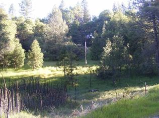 17451 Lueders Ct, Fiddletown, CA 95629