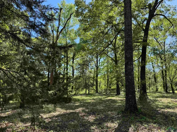 1 Stoney Ln, Gilmer, TX 75645