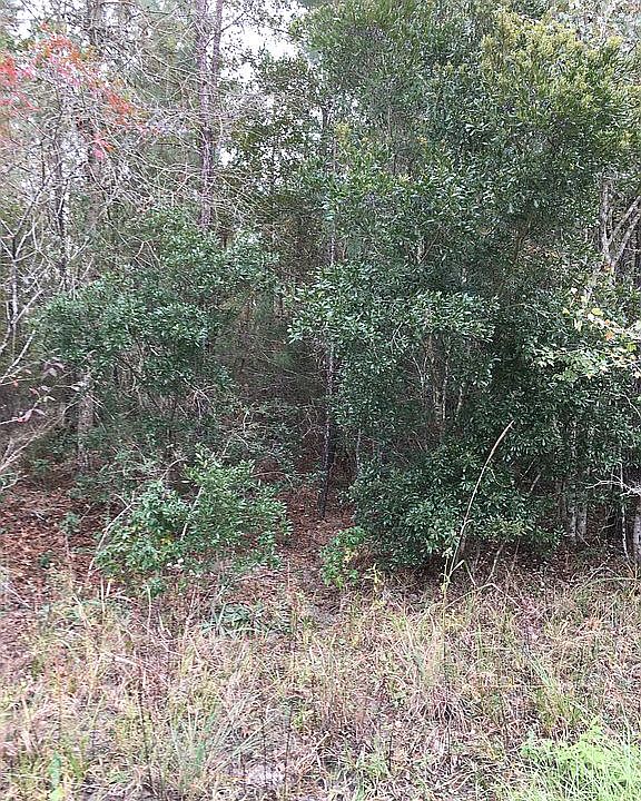 2nd image of Credit Hill Rd SW