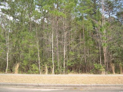 Lot 178 Bridge View Rd., Georgetown, SC, 29440