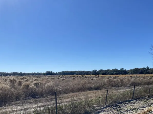 SE Dad Waldron Ln #W20, Mayo, FL 32066