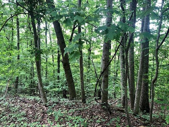 5th image of 0 Bent Tree Dr #10
