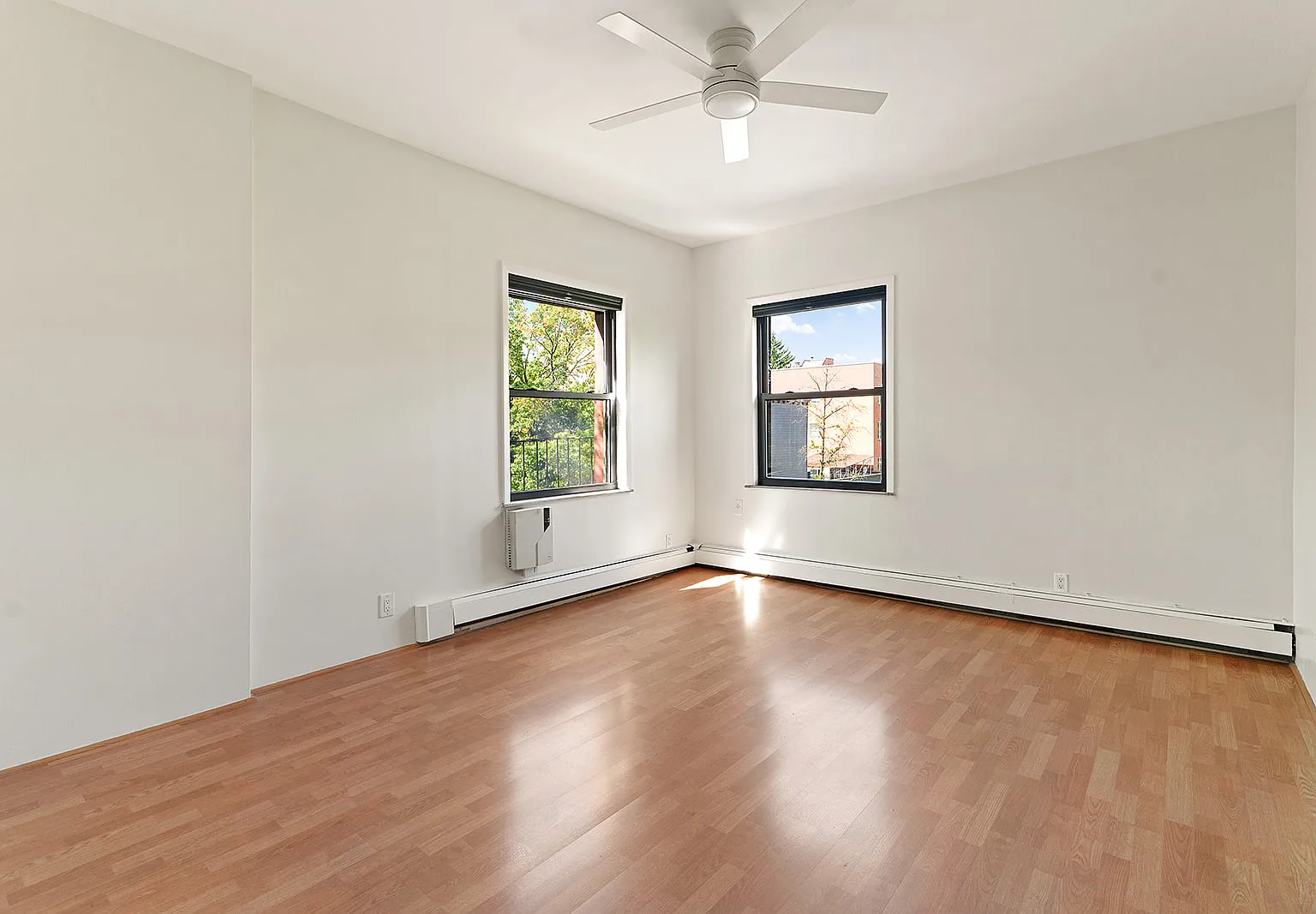 188 Eckford Street — Photo 2