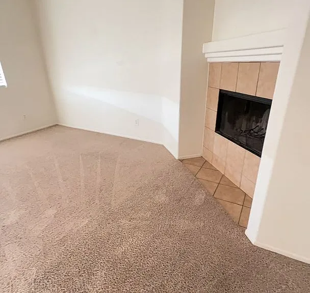 11584 Fern Pine St — Photo 21