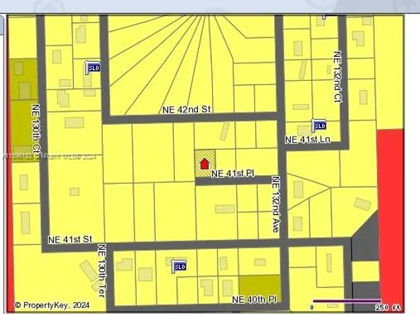 Undetermined NE #42, Silver Springs, FL 34488