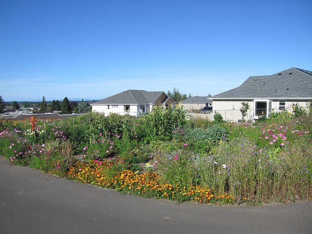 Community Garden