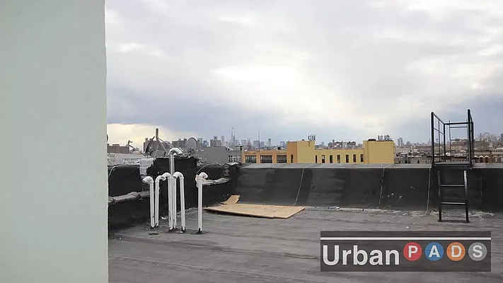 Rented by Urban Pads | media 15