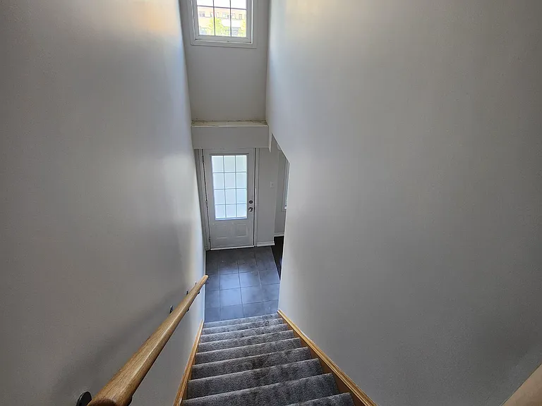 2564 Bromus Path — Photo 26