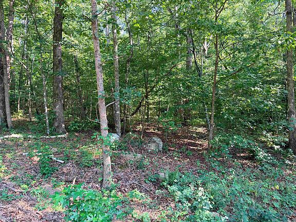 5th image of 16 & 17 Ellen Ln