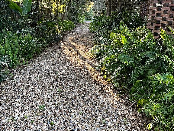 Back driveway to Garage 