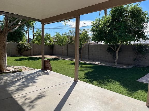 Backyard Under Patio