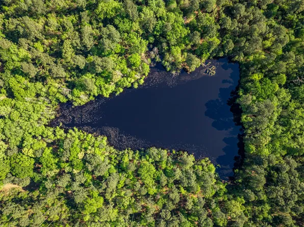 1 County Road 3322, Leesburg, TX 75451