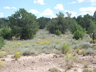 Phase #4-LOT 13, Pie Town, NM, 87827