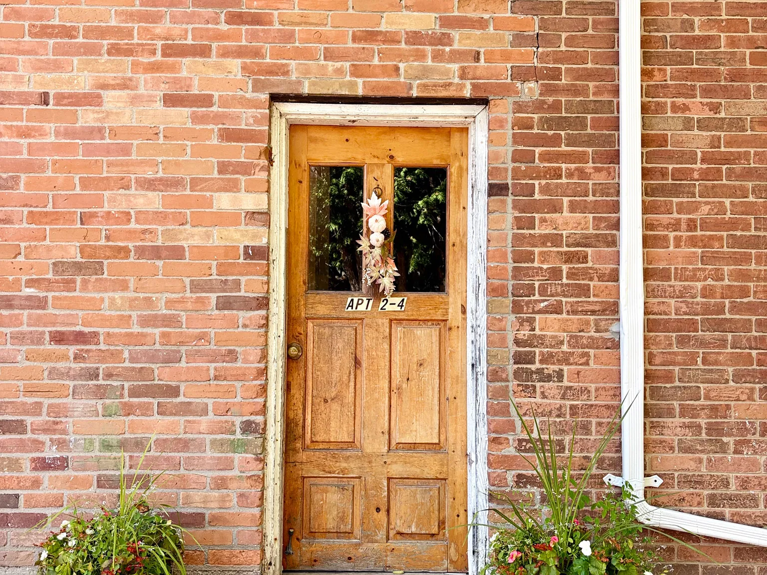 2 bed, $1,650 — Photo 3