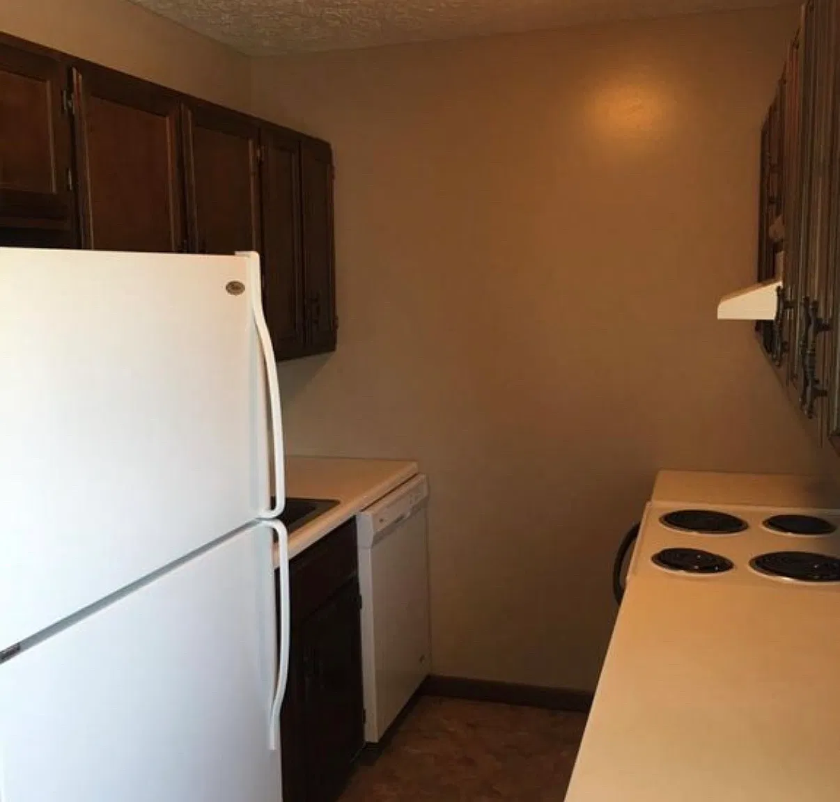 2 bed, $850 — Photo 4
