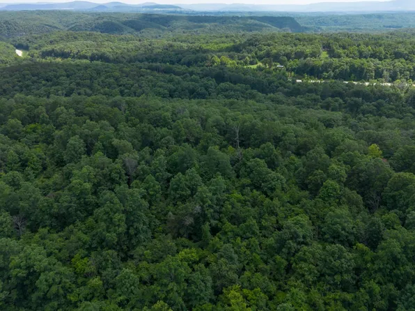 Highway 333 Lime Dr, Saint Joe, AR 72675