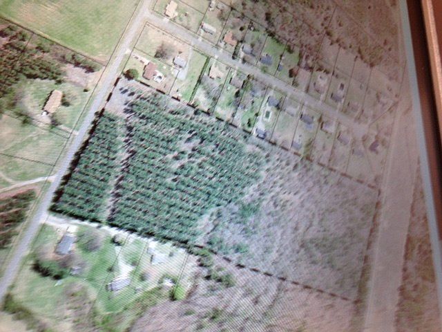 1st image of 833 Pleasant Dr