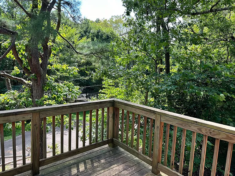 153 Albemarle Dr — Photo 11
