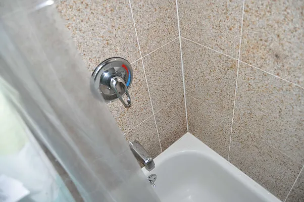 Rented by Sky Management | media 37