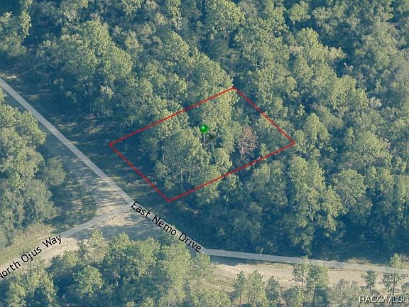 4th image of 535 E Nemo Dr