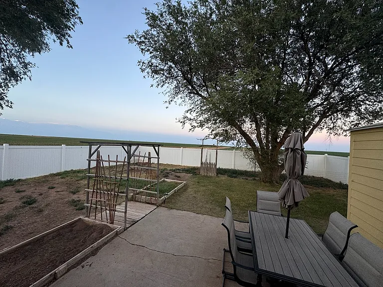 Back yard and patio.