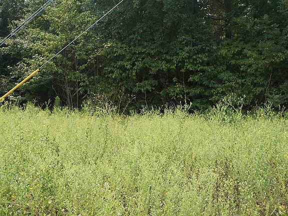 4th image of 24288 State Highway 31 E