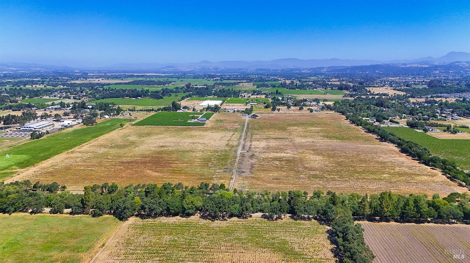 2942 Guerneville Road - Photo 2