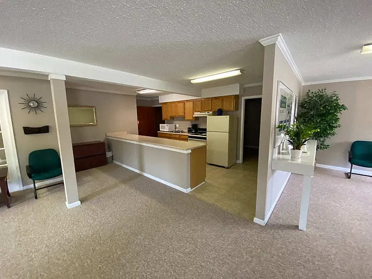 Woodland Springs — Photo 11