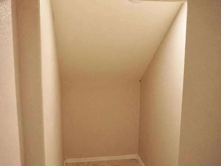 Extra storage closet under the stairs.