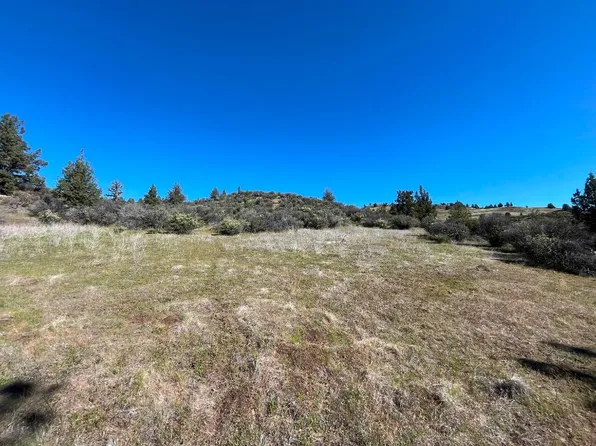 LOT 523 Blue Gill Dr, Hornbrook, CA 96044