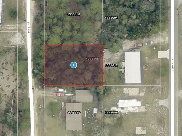 14-17-28-0200-00 Pine St Lot 14, Paisley, FL 32767