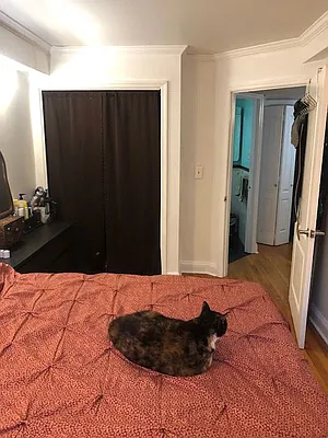 Sold by Citi Zone Realty | media 16