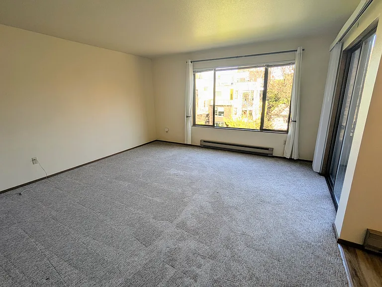 Large living room